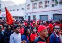 EFF calls for action against City of Tshwane Manager