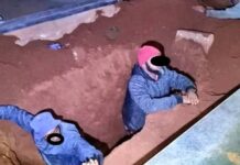 Sangoma and His Crew Arrested for Digging up Graves in Mabopane