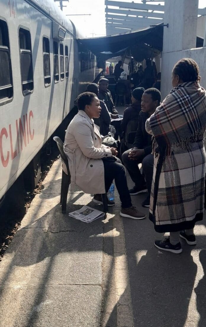 Phelophepha Train